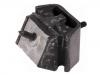 Lagerung, Motor Engine Mount:77 04 000 469