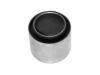 Control Arm Bushing:08 55 599 000